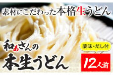 おうどんセット 12人前 《90日以内に出荷予定(土日祝除く)》和ぁさん家、株式会社栄工製作所 うどん 麺 生麺 生うどん 本格 手作り 和食 ご家庭用 こだわり お手軽 ギフト セット 薬味 だし付き 徳島県 美馬市 st-p