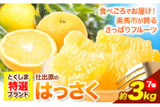 八朔 はっさく 約3kg 7個《2025年2月上旬‐2025月3月上旬頃出荷》仕出原八朔生産組合 八朔 大玉 はっさく 果物 くだもの フルーツ 特選 ゼリー ジュース ピール 徳島県 美馬市 st-p