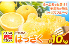 八朔 はっさく 10kg ＜ 先行予約 ＞ 《2026年2月上旬‐2026月3月上旬頃出荷》仕出原八朔生産組合 徳島県 美馬市 果物 くだもの フルーツ 特選 ゼリー ジュース ピール　 八朔 10kg 八朔 大玉 八朔 10kg 園 八朔 10kg 農園 八朔 10kg 大玉 st-p