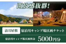 宿泊用キャンプ場区画チケット 5000円分 《30日以内に出荷予定(土日祝除く)》株式会社清月屋敷 宿泊 キャンプ 5000円割引 チケット 自然 絶景 送料無料 徳島県 美馬市 st-p