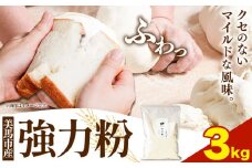強力粉 3kg 美馬市産 《30日以内に発送予定(土日祝除く)》 実森ラボラトリー株式会社 自家製小麦のお店mimori 送料無料 徳島県 美馬市 お菓子 パン 小麦