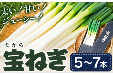 宝ねぎ ねぎ 3Lサイズ5本~2Lサイズ7本 《1月中旬‐3月中旬より出荷予定》有限会社美馬グリーンサービス ネギ 野菜 青果物 徳島県 美馬市 送料無料 st-p