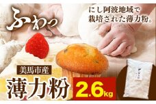 美馬市産 薄力粉 2.6kg 美馬市産 実森ラボラトリー株式会社 自家製小麦のお店mimori《30日以内に出荷予定(土日祝除く)》 送料無料 徳島県 美馬市 お菓子 パン 小麦 ケーキ