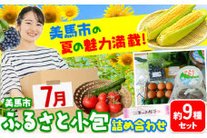 ＜先行予約＞ふるさと小包詰め合わせ7月 約9種セット 美馬市ふるさと小包推進協議会《7月上旬-7月下旬頃出荷》夏 夏野菜 スイートコーン 新鮮 ブルーベリー 味噌 和菓子 饅頭 季節の野菜 お試し フルーツ 野菜 名産品 送料無料 徳島県 美馬市