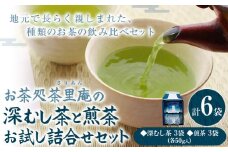 深むし茶と煎茶お試し詰合せセット 計6袋 (各50g) 深むし茶3袋 煎茶3袋 チャック付き小袋入り お茶処茶里庵 さりあん《90日以内に出荷予定(土日祝除く)》徳島県 美馬市 お茶 茶 緑茶 日本茶 煎茶 ヤブキタ 深蒸し茶 詰合せ セット