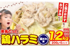 味付け肉 美馬とっと 鶏ハラミ 塩だれ味 200g × 6パック まるほ食品株式会社 《30日以内に出荷予定(土日祝除く)》 ふるさと納税 鶏肉 味付 とり肉 鶏ハラミ 塩だれ味 レトルト 簡単調理 一人暮らし おつまみ 冷凍 夕飯 送料無料 徳島県 美馬市 st-p