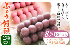 ぶどう饅頭 2種セット 8袋入り 有限会社日乃出本店 《30日以内に出荷予定(土日祝除く)》 徳島県 阿波 ブドウ 饅頭 飴 自家製あん プレーン 季節限定品老舗 和菓子 剣山 穴吹川 贈り物 衛生的 個包装 環境保護 品質保持
 st-p