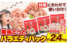 美馬とっと もも肉 むね肉 鶏ハラミ 塩だれ味 セット 計 2.4kg まるほ食品株式会社 《30日以内に出荷予定(土日祝除く)》 鶏肉 味付 とり肉 レトルト 簡単調理 一人暮らし おつまみ 冷凍 夕飯 送料無料 徳島県 美馬市 ファミリーパック 若鶏 からあげ 鶏 st-p