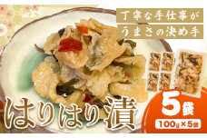 ＜ 先行予約 ＞ はりはり漬け 5袋 100g×5袋 有限会社美馬交流館《2025年1月上旬‐2025年6月上旬出荷》徳島県 美馬市 みまから 漬物 つけもの 送料無料