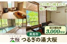 つるぎの湯大桜 宿泊補助券 3,000円分 株式会社原田組《30日以内に出荷予定(土日祝除く)》宿泊 宿泊券 つるぎの湯大桜 3,000円 割引 チケット 旅行 自然 送料無料 徳島県 美馬市 st-p