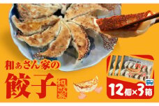 餃子 和ぁさん家の餃子3個セット 36個 和ぁさん家 株式会社栄工製作所 《30日以内に出荷予定(土日祝除く)》冷凍食品 餃子 ご家庭用 お手軽 ギフト セット 徳島県 美馬市 st-p