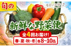 旬の新鮮な 野菜便 定期便 計4回お届け 各8～10品 アグリサポート美馬《次シーズンから出荷》春夏秋冬 定期 野菜 青果物 お取り寄せ 送料無料 徳島県 美馬市