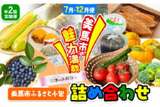 【計2回定期便】ふるさと小包詰め合わせ 年2回 7月・12月便 美馬市ふるさと小包推進協議会《年2回定期便：7月出荷、12月出荷》 スイートコーン ブルーベリー 手作りあられ 味噌 和菓子 饅頭 杵つきもち そば米 黒大豆 干し芋 芋へぎ ゆず 送料無料