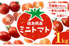 ミニトマト 1kg 《11月上旬-6月末頃出荷》株式会社ヴェリタス 徳島県 美馬市 青果物 野菜 とまと トマト フロランティーノ アルル アマイアリー アイコ 千恋 チコ