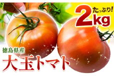 トマト 大玉トマト 2kg 《11月上旬-6月末頃出荷》 ヴェリタス株式会社 徳島県 美馬市 青果物 野菜 とまと トマト