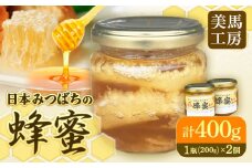 日本みつばちの蜂蜜 200g×2個 計400g 美馬工房 《30日以内に出荷予定(土日祝除く)》 ハチミツ はちみつ 自然採取 2瓶 国産 徳島県 美馬市 st-p