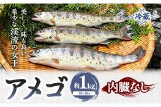 アメゴ 約1kg  内臓 なし 木屋平淡水養魚場《4月上旬-10月下旬頃出荷(土日祝除く)》 【配送不可地域あり】※北海道・沖縄・離島　徳島県 美馬市 川魚 アメゴ あまご 塩焼き 唐揚げ 送料無料