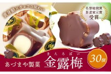 和菓子 黄身餡子 チョコレート 金露梅 30個 あづまや製菓有限会社 《30日以内に出荷予定(土日祝除く)》 徳島県 美馬市 阿波 郷土銘菓 自家製黄身餡 チョコ 名誉総裁賞 茶道家元賞 贈り物 お茶請け