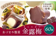 和菓子 黄身餡子 チョコレート 金露梅 60個 あづまや製菓有限会社 《30日以内に出荷予定(土日祝除く)》 徳島県 美馬市 阿波 郷土銘菓 自家製黄身餡 チョコ 名誉総裁賞 茶道家元賞 贈り物 お茶請け