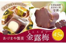 和菓子 黄身餡子 チョコレート 金露梅 45個 あづまや製菓有限会社 《30日以内に出荷予定(土日祝除く)》 徳島県 美馬市 阿波 郷土銘菓 自家製黄身餡 チョコ 名誉総裁賞 茶道家元賞 贈り物 お茶請け