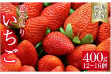 いちご 恋みのり 400g 果物 フルーツ 苺 ストロベリー ジャム スムージー 洋菓子 家族 子ども フルーツサンド フルーツ大福 いちご大福 苺大福 人気 オススメ お取り寄せ グルメ いちご狩り いちごはうす 近藤 民宿 農家民宿 徳島 三好 みよし