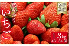 いちご 恋みのり 1.3kg 果物 フルーツ 苺 ストロベリー ジャム スムージー 洋菓子 家族 子ども フルーツサンド フルーツ大福 いちご大福 苺大福 人気 オススメ お取り寄せ グルメ いちご狩り いちごはうす 近藤 民宿 農家民宿 徳島 三好 みよし