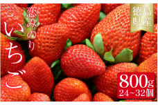 いちご 恋みのり 800g 果物 フルーツ 苺 ストロベリー ジャム スムージー 洋菓子 家族 子ども フルーツサンド フルーツ大福 いちご大福 苺大福 人気 オススメ お取り寄せ グルメ いちご狩り いちごはうす 近藤 民宿 農家民宿 徳島 三好 みよし