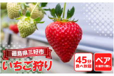 いちご 狩り 体験 チケット 大福づくり なし ペア 2人 思い出 家族 夏休み 農園 観光 いちごはうす 民宿 農家民宿 フルーツ狩り 果物 徳島 三好 みよし