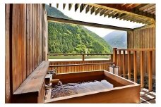 ホテル 宿泊券 サンリバー大歩危 ペア宿泊券 露天風呂付客室 1泊2食付 徳島県 三好市 温泉 祖谷温泉 宿泊補助券 絶景温泉 人気宿 温泉宿 露天風呂 温泉旅行 観光宿泊プラン 旅行 クーポン 宿泊ギフト 旅行券 ふるさと納税宿泊 温泉地 おすすめ