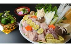 阿波すだち鶏の鍋セット（２～３人前）