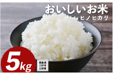 米 令和7年産 新米 5kg ヒノヒカリ 米 こめ お米 ご飯 ごはん おにぎり 白米 精米 ギフト 贈答 プレゼント グルメ 送料無料 徳島県 三好市 みよし 篠原農園