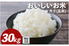 米 令和7年産 新米 30kg 玄米 ヒノヒカリ 米 こめ お米 ご飯 ごはん おにぎり ギフト 贈答 プレゼント グルメ 送料無料 徳島県 三好市 みよし 篠原農園