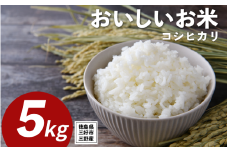 米 令和7年産 新米 5kg コシヒカリ 米 こめ お米 ご飯 ごはん おにぎり こしひかり 白米 精米 ギフト 贈答 プレゼント グルメ 送料無料 徳島県 三好市 みよし 篠原農園