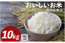 米 令和7年産 新米 10kg コシヒカリ 米 こめ お米 ご飯 ごはん おにぎり こしひかり 白米 精米 ギフト 贈答 プレゼント グルメ 送料無料 徳島県 三好市 みよし 篠原農園
