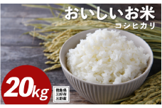米 令和7年産 新米 20kg コシヒカリ 米 こめ お米 ご飯 ごはん おにぎり こしひかり 白米 精米 ギフト 贈答 プレゼント グルメ 送料無料 徳島県 三好市 みよし 篠原農園