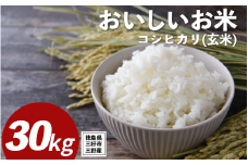 米 令和7年産 新米 30kg 玄米 コシヒカリ 米 こめ お米 ご飯 ごはん おにぎり こしひかり ギフト 贈答 プレゼント グルメ 送料無料 徳島県 三好市 みよし 篠原農園