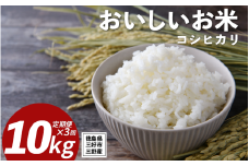 米 令和7年産 新米 定期便 10kg ×3回 コシヒカリ 米 こめ お米 ご飯 ごはん おにぎり こしひかり 白米 精米 ギフト 贈答 プレゼント グルメ 送料無料 徳島県 三好市 みよし 篠原農園
