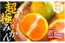 みかん 約5kg 超極早生みかん 蜜柑 柑橘 フルーツ 果物 オレンジ ジュース デザート ケーキ アイス シャーベット ゼリー スイーツ お菓子 ギフト 送料無料 徳島県 三好市 みよし 篠原農園