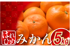 みかん 約5kg はれひめ 蜜柑 柑橘 フルーツ 果物 オレンジ ジュース デザート ケーキ アイス シャーベット ゼリー スイーツ お菓子 ギフト 送料無料 徳島県 三好市 みよし 篠原農園