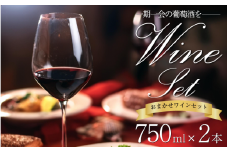 ワイン おまかせ 750ml 2本 セット Natan 葡萄酒 醸造所 酒 国産 国産ワイン 国産 プレゼント 贈答用 ギフト 記念 グルメ 送料無料 徳島県 三好市 みよし ナタン NATAN  