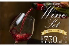 ワイン おまかせ 750ml 2本 セット 定期便 3回 4月 7月 12月 発送 Natan 葡萄酒 醸造所 酒 国産 国産ワイン 国産 プレゼント 贈答用 ギフト 記念 グルメ 送料無料 徳島県 三好市 みよし ナタン NATAN  