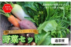 野菜 おまかせ セット 3～4種 旬の野菜 詰め合わせ 1回便 季節の野菜 旬野菜 やさい サラダ 鍋 煮物 おでん 野菜炒め 新鮮 徳島県産 食品 グルメ 贈り物 ギフト 送料無料 徳島県 三好市 みよし 篠原農園