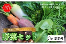 野菜 おまかせ セット 3～4種 旬の野菜 詰め合わせ 定期便 3回 季節の野菜 旬野菜 やさい サラダ 鍋 煮物 おでん 野菜炒め 新鮮 徳島県産 食品 グルメ 贈り物 ギフト 送料無料 徳島県 三好市 みよし 篠原農園