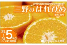 みかん はれひめ 5kg 先行予約 期間限定 徳島 三野 mikan 蜜柑 柑橘 ミカン 国産 数量限定 特産品 フルーツ 果物 柑橘 ジュース おやつ デザート おいしい 徳島県 三好市 みよし miyoshi 小笠まんまる農園 三野のはれひめ