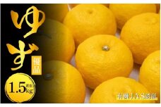 ゆず 有機ゆず 黄色ゆず 優品 1.5kg オーガニック 柚子 有機JAS 黄色柚子 健康 美容 柑橘 みかん フルーツ 果物 薬味 ジャム マーマレード 鍋 そうめん 柚子胡椒 果実酒 シロップ 徳島県 三好市