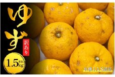 訳あり ゆず 有機ゆず 黄色ゆず 良品 1.5kg オーガニック 柚子 有機JAS 黄色柚子 健康 美容 柑橘 みかん フルーツ 果物 薬味 ジャム マーマレード 鍋 そうめん 柚子胡椒 果実酒 シロップ 徳島県 三好市
