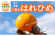 【先行予約】2025年12月解禁日より順次発送！小笠まんまる農園の箱みかん『三好・三野産はれひめ5キロ（2L～3Lサイズ、35個前後）』　※30セット限定
