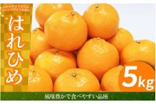みかん はれひめ 5kg 先行予約 蜜柑 柑橘 ミカン 国産 数量限定 特産品 期間限定 徳島 三野 mikan フルーツ 果物 柑橘 ジュース おやつ デザート おいしい 徳島県 三好市 みよし miyoshi 小笠原智