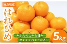 みかん はれひめ 5kg 先行予約 蜜柑 柑橘 ミカン 国産 数量限定 特産品 期間限定 徳島 三野 mikan フルーツ 果物 柑橘 ジュース おやつ デザート おいしい 徳島県 三好市 みよし miyoshi 小笠原智
