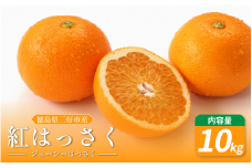 みかん はっさく 10kg 紅はっさく 先行予約 八朔 ハッサク 紅八朔 紅ハッサク 蜜柑 柑橘 ミカン 国産 数量限定 特産品 期間限定 徳島 三野 mikan フルーツ 果物 ジュース おやつ デザート 徳島県 三好市 みよし miyoshi 小笠原智